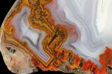 Colorful, Polished Agate End Cut - Kerrouchen, Morocco #181278-2